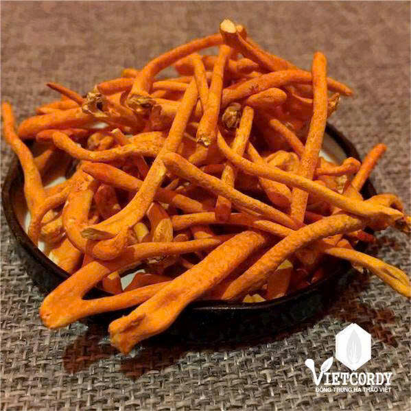 ĐTHT VIP VIETCORDY SẤY THĂNG HOA - HỘP 10 GR