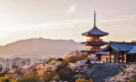 NHẬT BẢN: OSAKA- KOBE- KYOTO – PHÚ SĨ –TOKYO - MÙA THU VÀNG RỰC RỠ