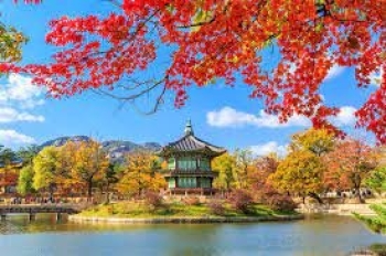 SEOUL – NAMI – EVELAND CẦU KÍNH ARA MARU SKY WALK