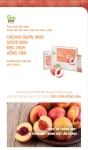 Nước Hồng Sâm Goodbase Đào KGC Cheong Kwan Jang (10ml x 30 gói)
